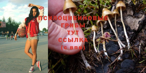 кристаллы Мегион