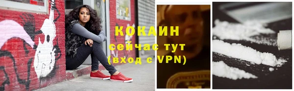 гашик Медногорск