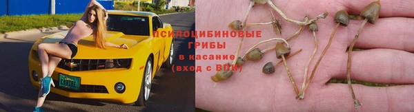 кристаллы Мегион