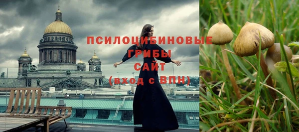 мескалин Медвежьегорск