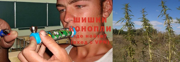 гашик Медногорск