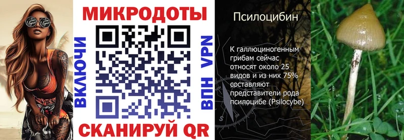 купить  сайты  Новочебоксарск  Галлюциногенные грибы GOLDEN TEACHER 
